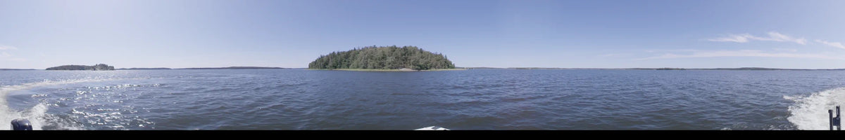 View from a boat passing a dense, green forest lining the water in Upplands-Bro, Sweden, during a clear summer day.