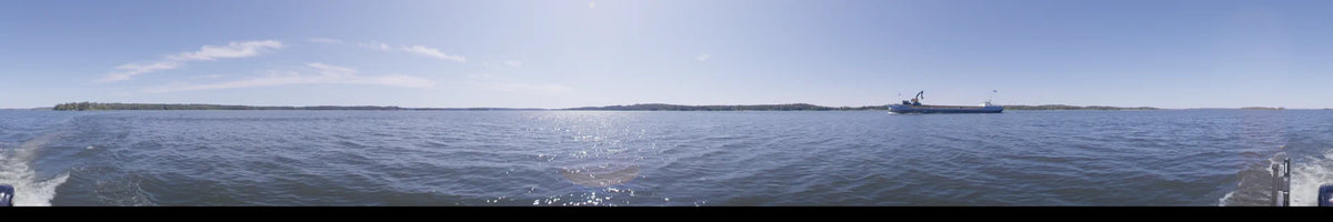 A forested shoreline stretches across the horizon under a clear summer sky in Upplands-Bro, Sweden, with sparkling water viewed from a boat during the day.