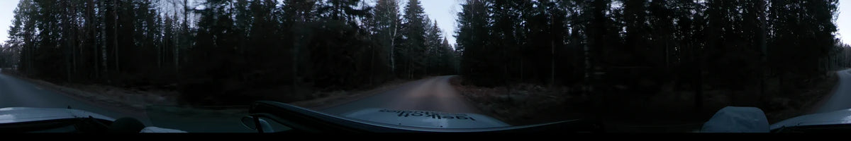 Tall evergreen trees line a curving road in Lennartsnäs, Sweden. This clear autumn morning scene is viewed from a car moving through the forest.