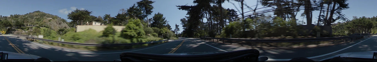 A two-lane road winds through a lush forest of tall evergreen trees in Big Sur, with sunlight filtering through the canopy onto the asphalt.
