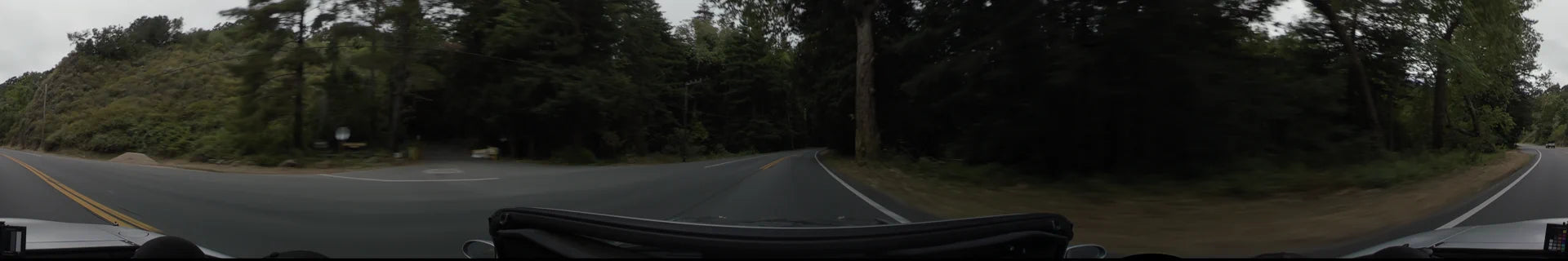 A winding road in Big Sur curves through a dense, dark forest of tall evergreen trees under a clear afternoon sky.