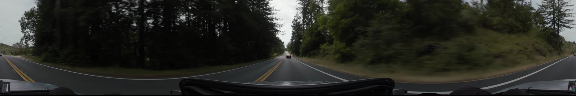 A two-lane road in Big Sur is flanked by towering evergreen trees, with a single car traveling ahead along the yellow center lines.